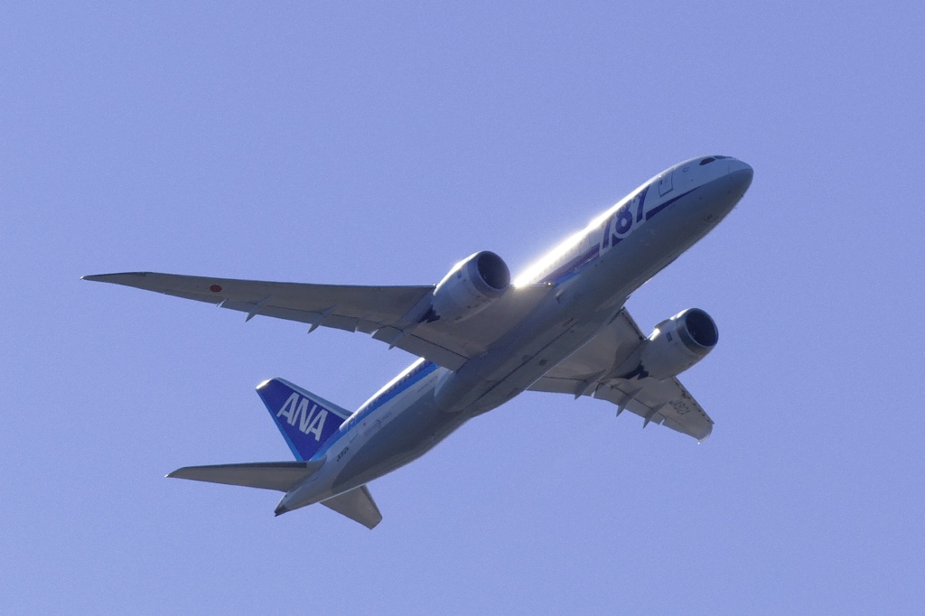 城南島にてANA　787