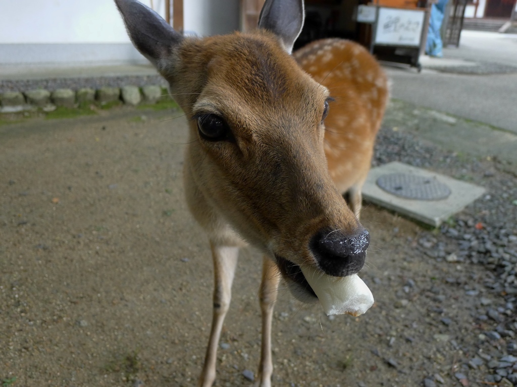 その後