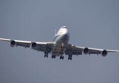 城南島にてANA　747-400　22アプローチ