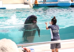 良くできました