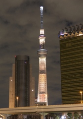 Sky tree1