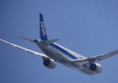 ANA　787