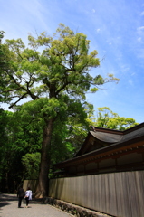 伊勢神宮 (2)