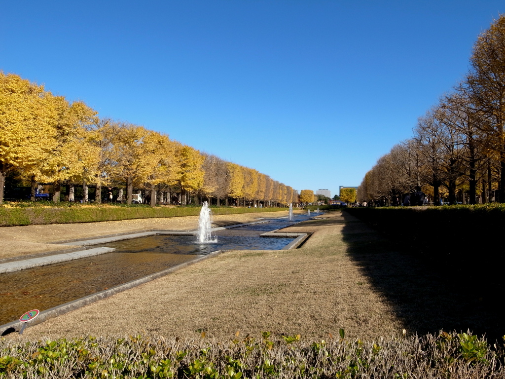 昭和記念公園