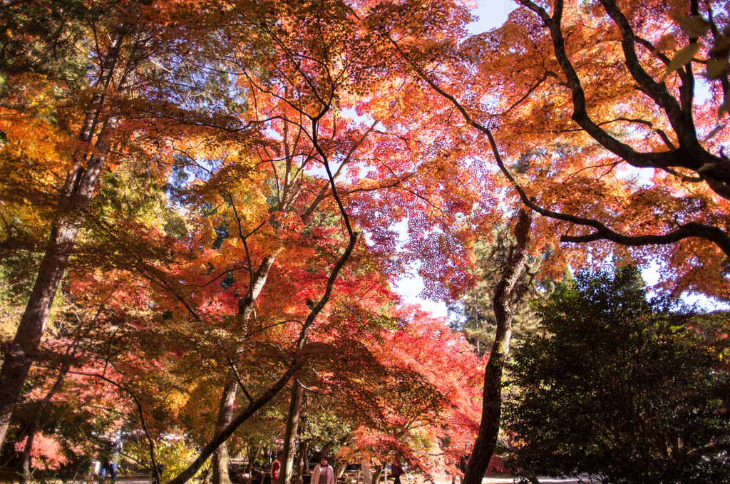 岐阜県土岐市　曽木公園