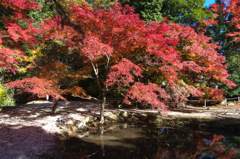 岐阜県土岐市　曽木公園