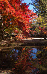 岐阜県土岐市　曽木公園