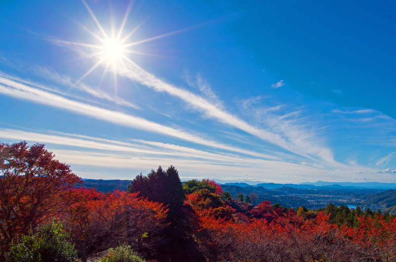 岐阜県八百津町めい想の森にて