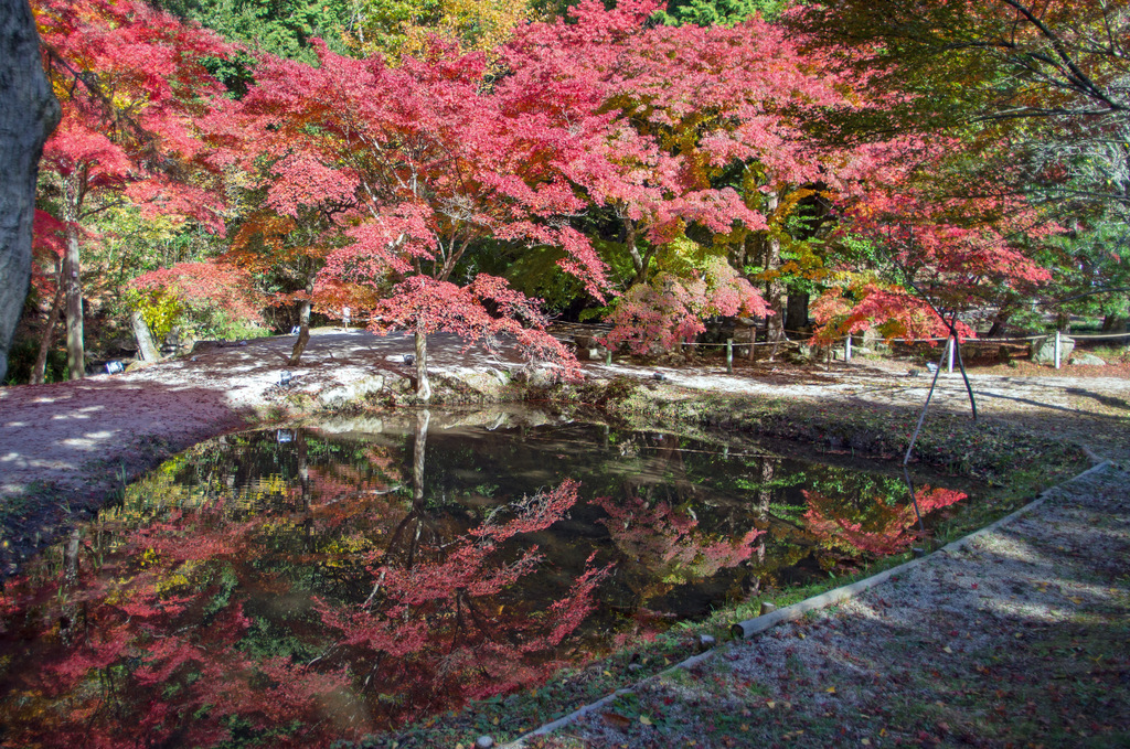 岐阜県土岐市　曽木公園