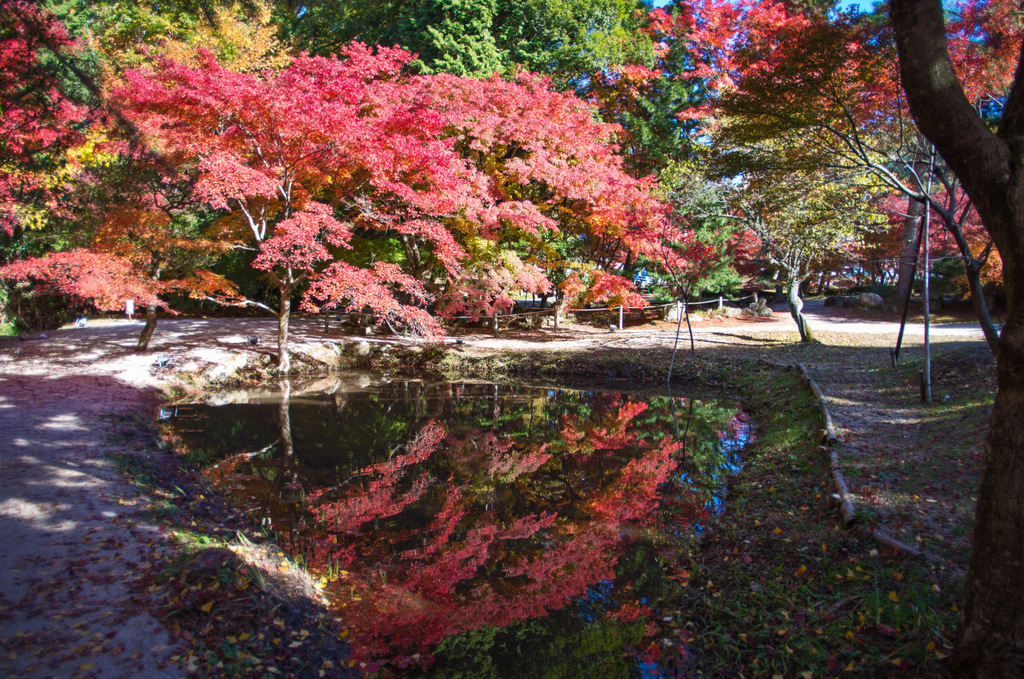 岐阜県土岐市　曽木公園