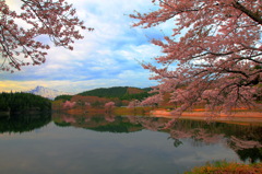 朝日を浴びて