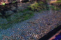 清流の波
