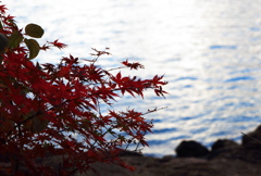 湖畔