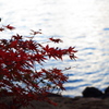 湖畔