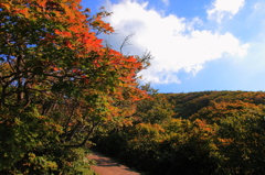 登山道