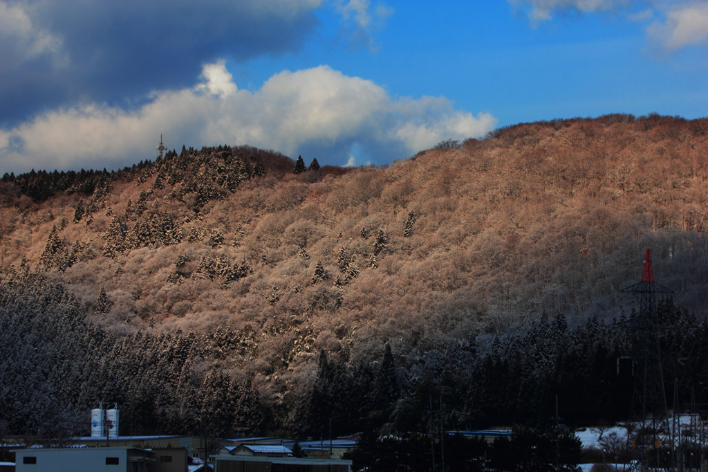 雪化粧に萌える春