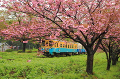 鳥海山麓線（鯉のぼり列車）
