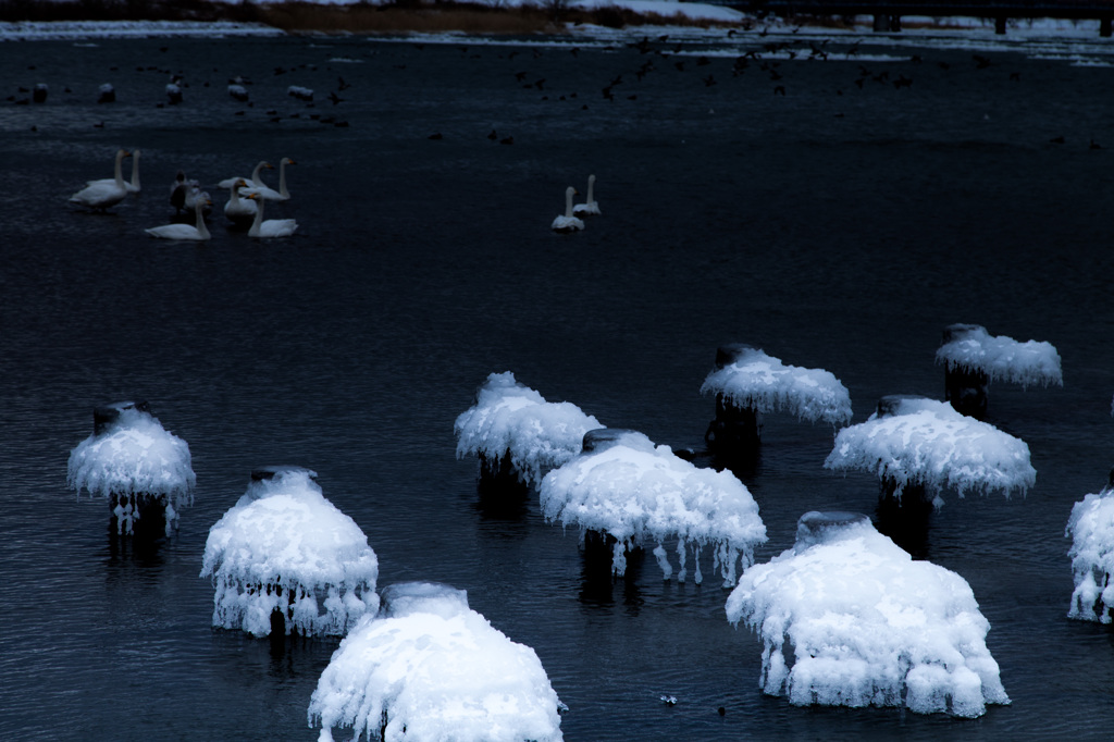 Cold river