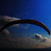 Canopy（翼）
