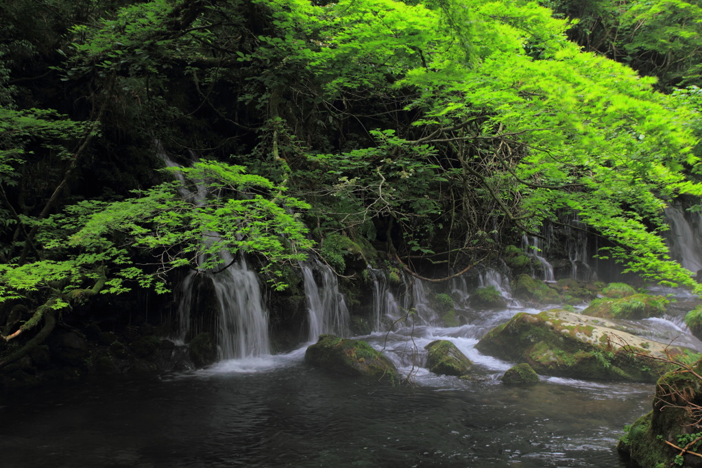 天気が悪くても　ちょっと安心
