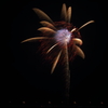 夜の華