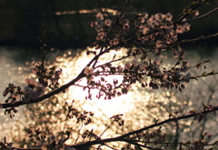 眩い光