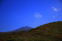 秋堪能