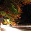 Samurai residence