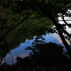 緑と青空