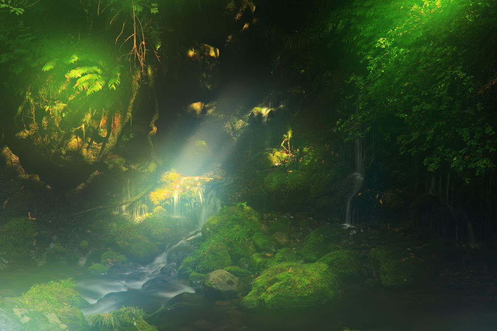 幻想