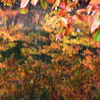 Colors/Mirror