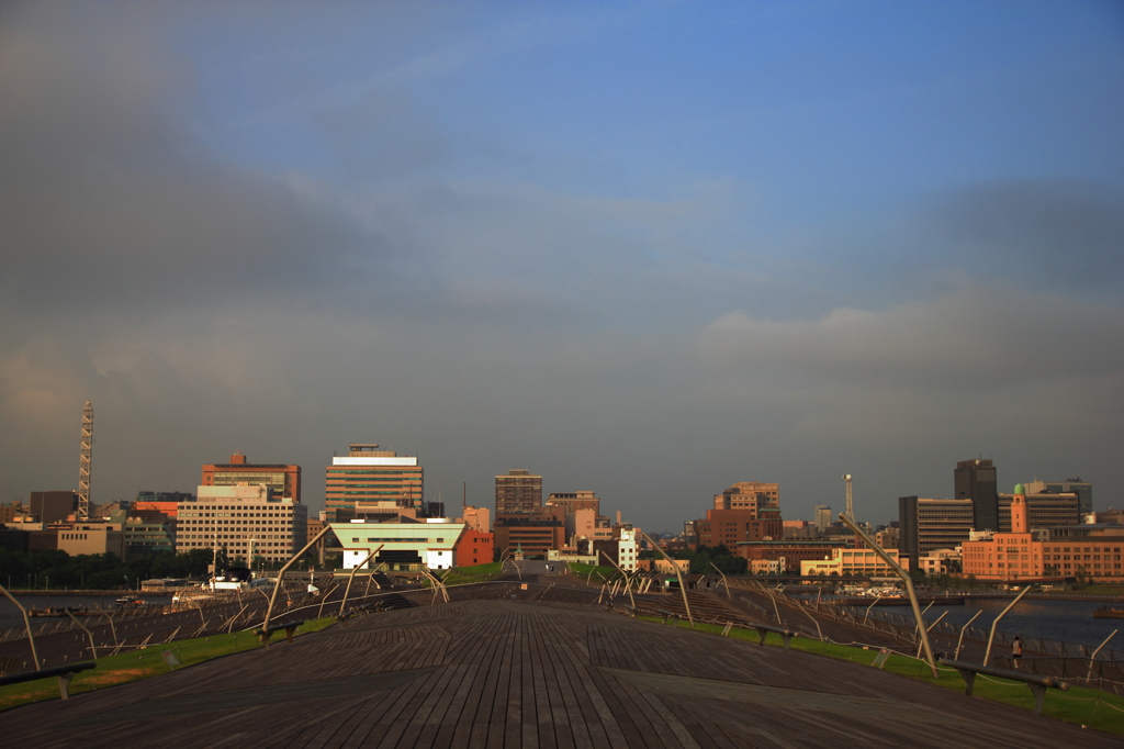 くじらのせなかの展望