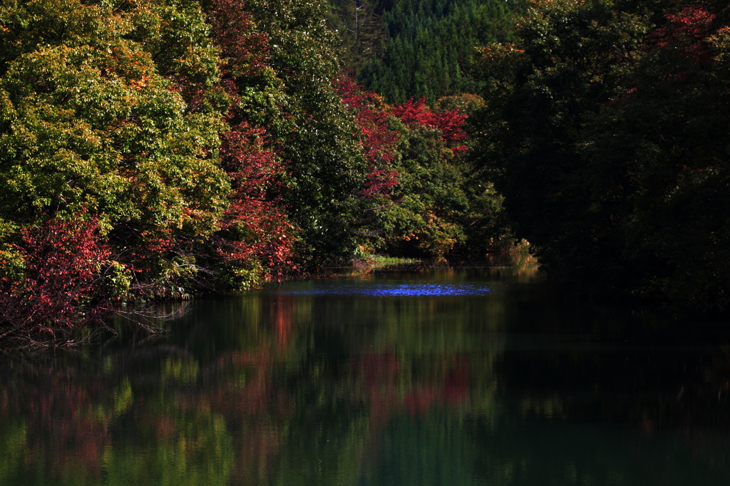 Autumn　Colors