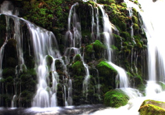 苔生す流れ②