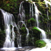 苔生す流れ②
