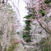 角館
