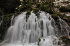 伏流水湧く