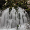 伏流水湧く