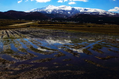春、鳥海山