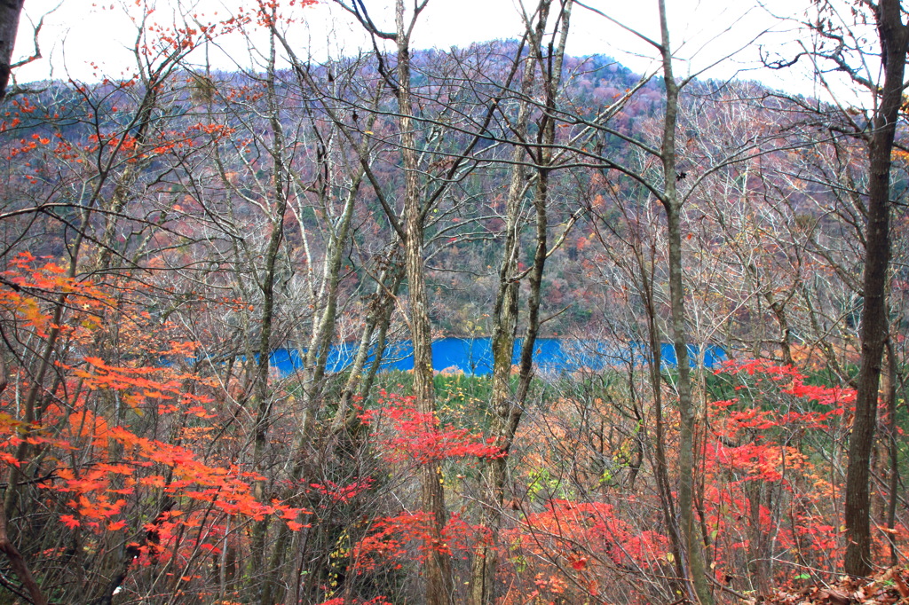 山中のダム湖