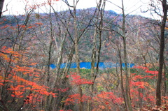 山中のダム湖