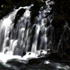 曝水
