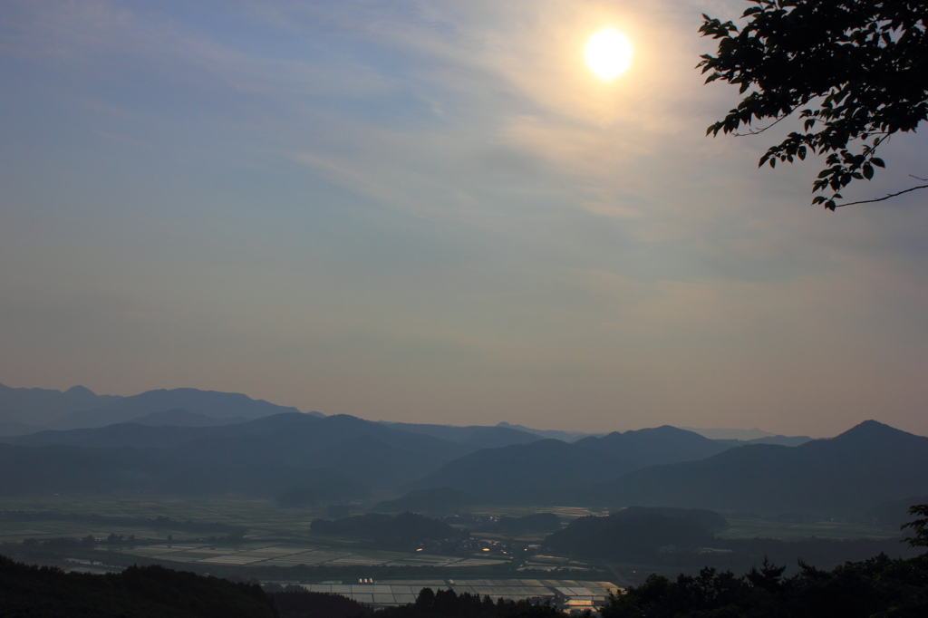 朝日の田園