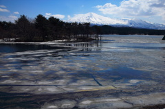 春解氷