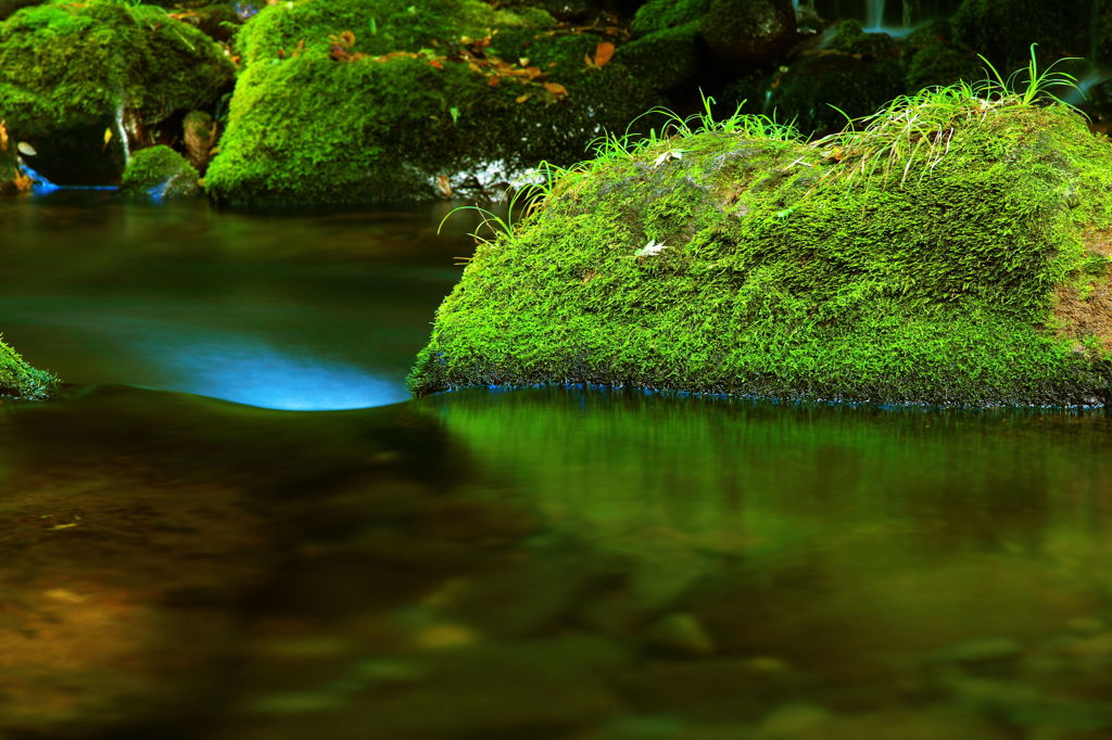 秋　緑流