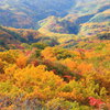 黄葉の山肌