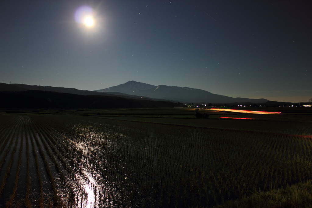 Moon　Ligth