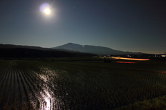 Moon　Ligth