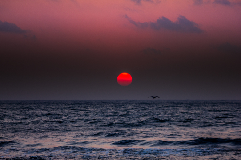 赤い夕日