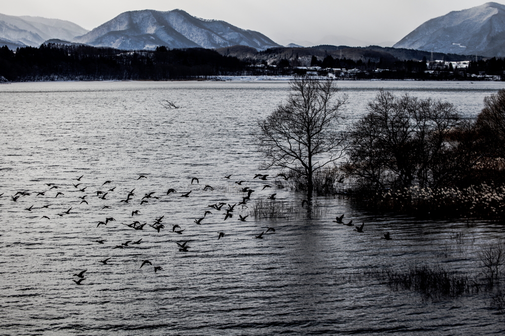 Winter scene Ⅱ